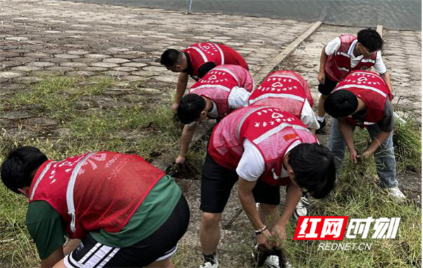 图片38.jpg 图片38.jpg